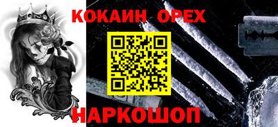 гидра Новодвинск