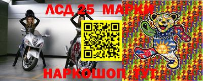 гидра Новодвинск