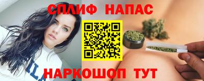 гидра Новодвинск