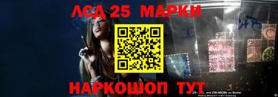 гидра Новодвинск