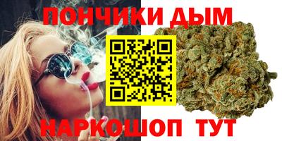 гидра Новодвинск