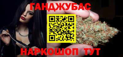 гидра Новодвинск