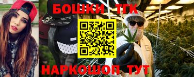 гидра Новодвинск