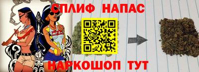 гидра Новодвинск