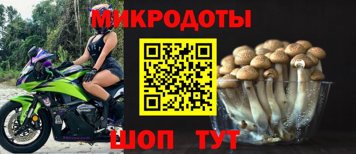 Рузаевка  Галлюциногенные грибы Psilocybine cubensis  Вход с VPN  Псилоцибиновые грибы прущие грибы 